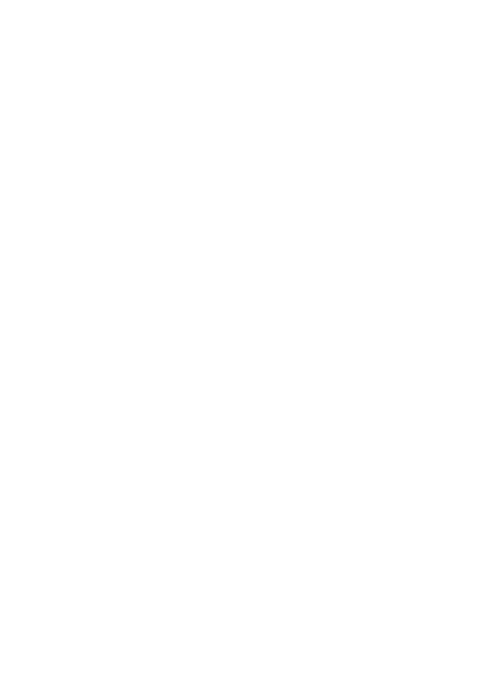 DEMI GMBH